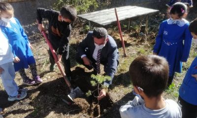 GEREDE MİLLİ EĞİTİM OKUL BAHÇELERİNE  FİDAN DİKTİ