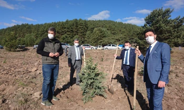 GEREDE’DE 7 BİN 520 FİDAN TOPRAKLA BULUŞTU