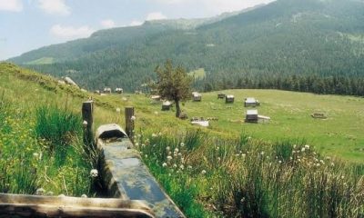 GEREDE VE DÖRTDİVAN OVASI KORUMA ALTINA ALINDI