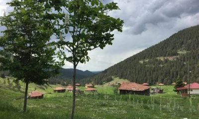 56 KONUTLUK KÖYE DÖNÜŞ PORJESİ YAPILACAK