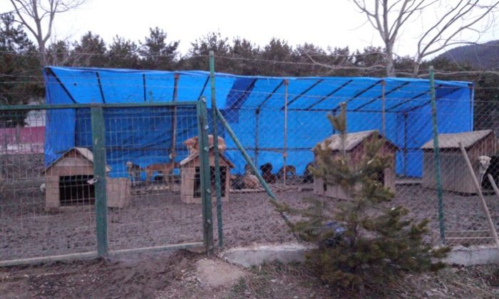 BARINAKLA İLGİLİ VALİLİKTEN AÇIKLAMA GELDİ