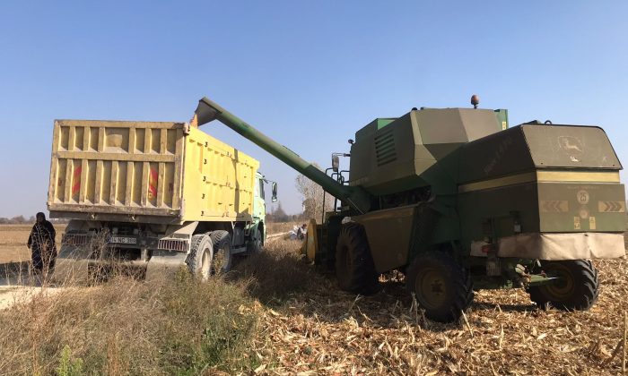 200 ÖĞRENCİYE BURS SAĞLADILAR