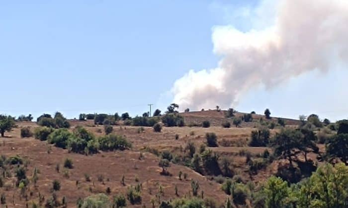 GEREDE’DE ORMAN YANGINI