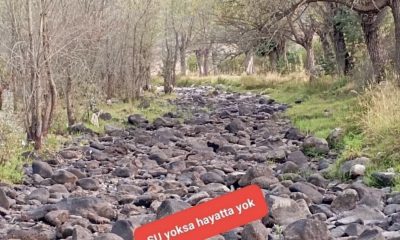 MARKUŞA DERESİ KURUDU: KÖYLÜLER ÇÖZÜM BEKLİYOR