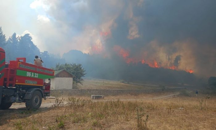 ANKARA-BOLU SINIRINDAKİ ANIZ YANGINI ORMANLIK ALANA SIÇRADI