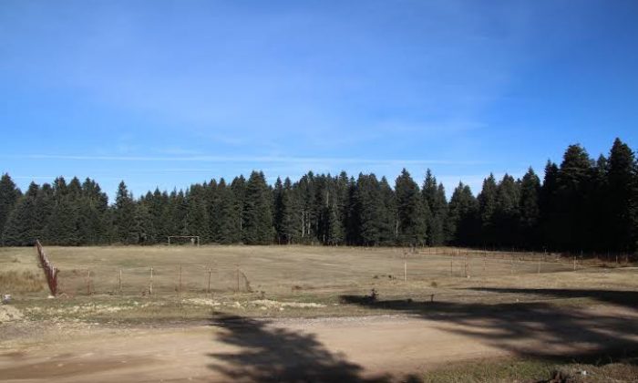 MANTAR TOPLARKEN KAYBOLAN KADIN SAĞ SALİM BULUNDU