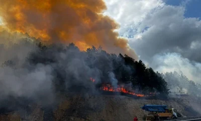 BOLU’NUN MENGEN İLÇESİNDE ORMAN YANGINI: KARAYOLU ULAŞIMA KAPATILDI