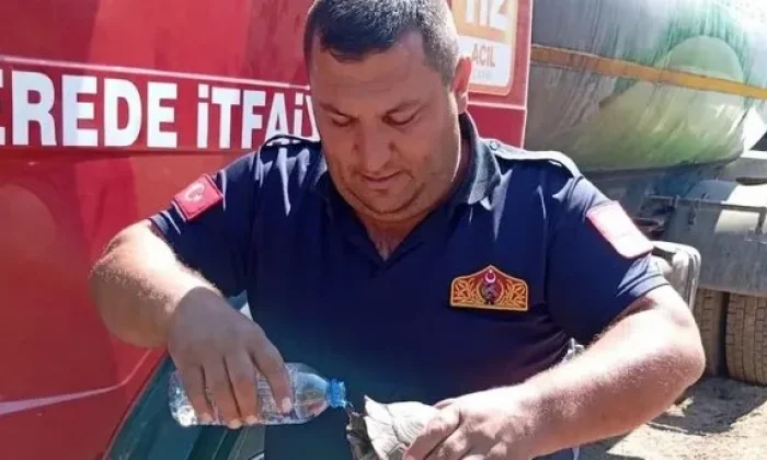 MENGEN’DE ORMAN YANGININDA İTFAİYE ERİNDEN DUYGULANDIRAN HAREKET: YARALI KAPLUMBAĞAYA CAN SUYU