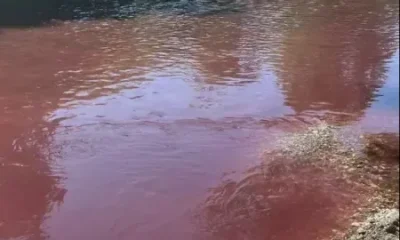 GEREDE ÇAYINDAN SONRA MUDURNU ÇAYI DA TEHLİKE ALTINDA!