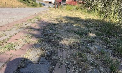 ESENTEPE YOLUNDA KALDIRIMLAR BAKIM BEKLİYOR